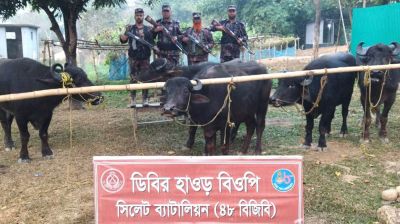 সীমান্তে নাসির বিড়ির চালানসহ ১ কোটি ২২ লাখ টাকার মালামাল জব্দ