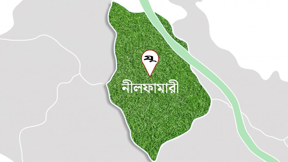 গাছ কাটার সময় পড়ে গিয়ে প্রাণ গেল যুবকের