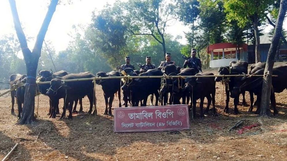 সুনামগঞ্জ সীমান্তে ভারতীয় মদসহ দেড় কোটি টাকার মালামাল জব্দ