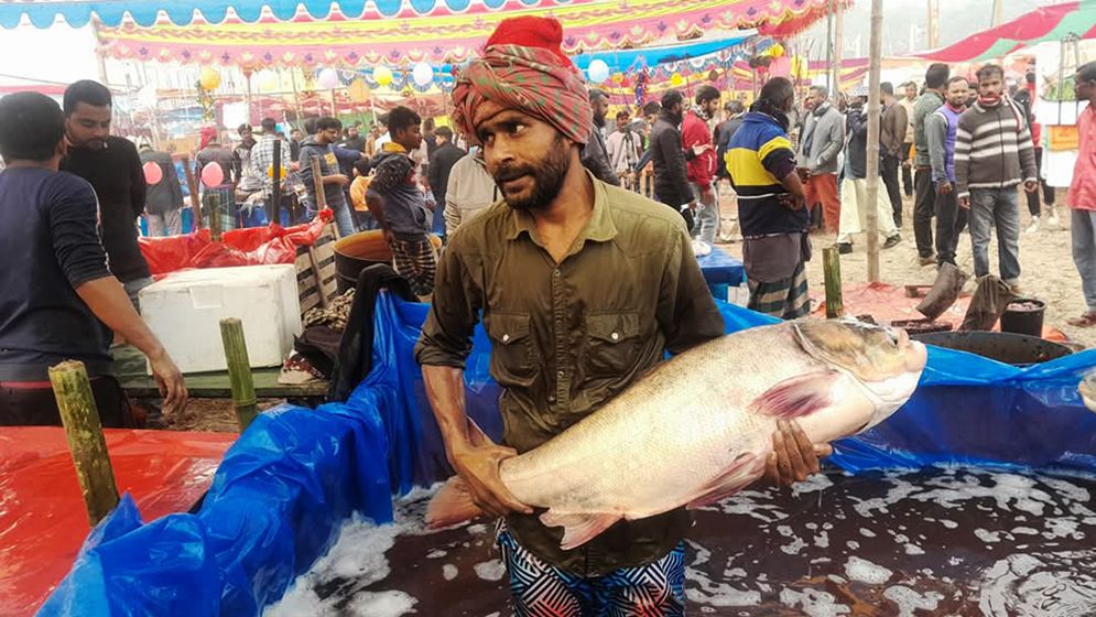 পোড়াদহ মেলার প্রধান আকর্ষণ বড় মাছ-মিষ্টি