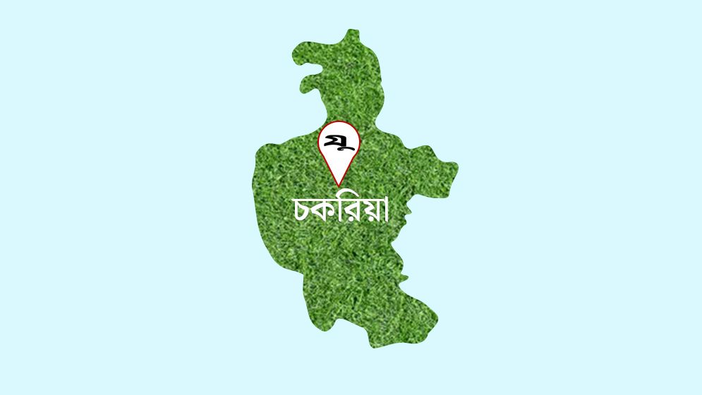 ভাতিজার বিরুদ্ধে চাচাকে হত্যার অভিযোগ