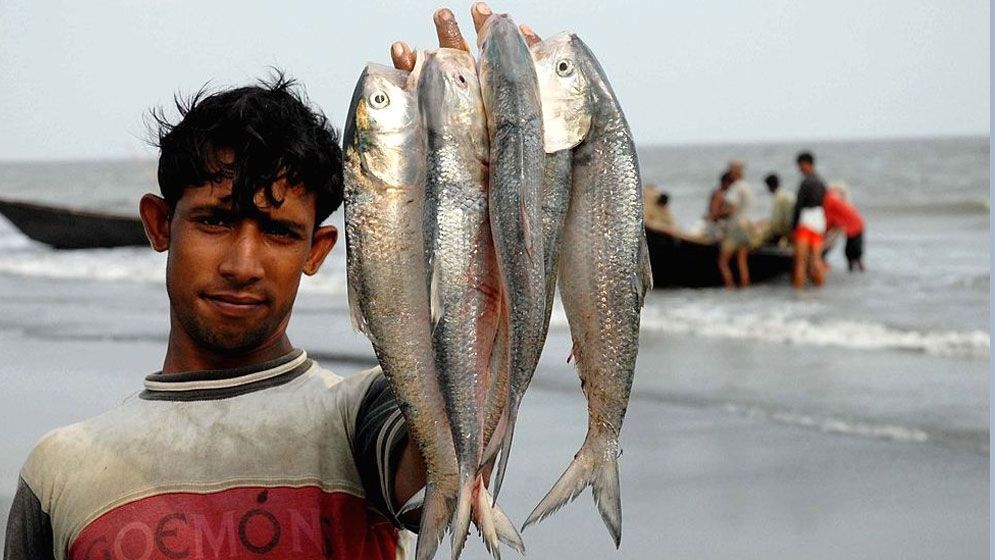 ৫৮ দিন ইলিশ ধরায় নিষেধাজ্ঞা