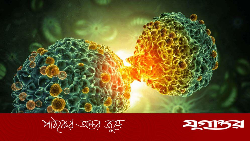 জন্মের আগেই নির্ধারণ করা যাবে ক্যানসারের ঝুঁকি