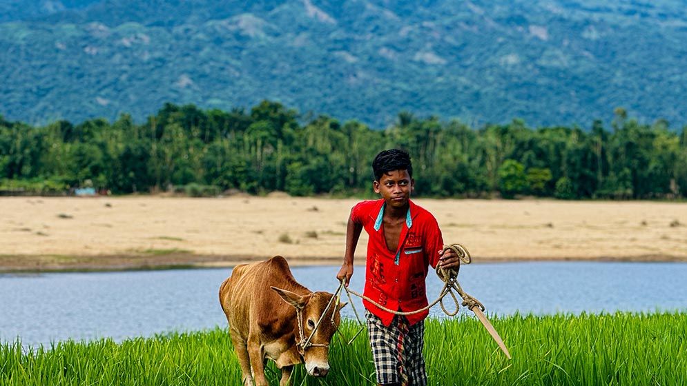 প্রকৃতির অপরূপ লীলাভূমি তাহিরপুর