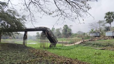 আমতলীতে ভেঙে পড়েছে ২ কোটি টাকার সেতু, অনিয়মের অভিযোগ