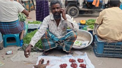 ফরিদগঞ্জে শিয়ালের মাংস বিক্রি