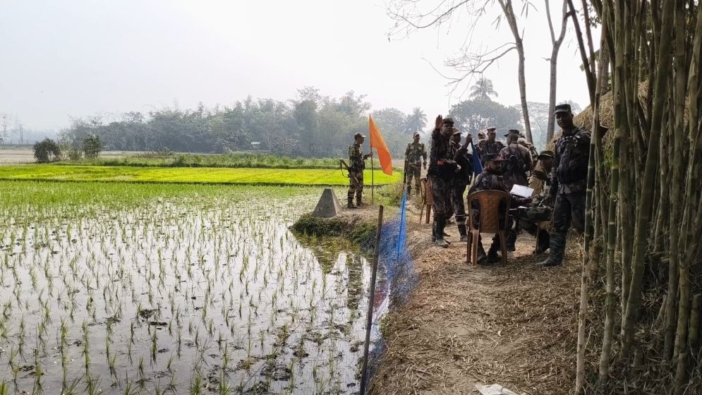 সীমান্তে কৃষকের সবজি ও ধানের চারা কেটে দিয়েছে বিএসএফ