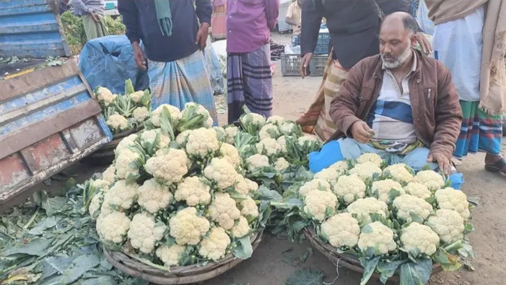 কৃষকের পাশে কেউ দাঁড়ানোর নেই