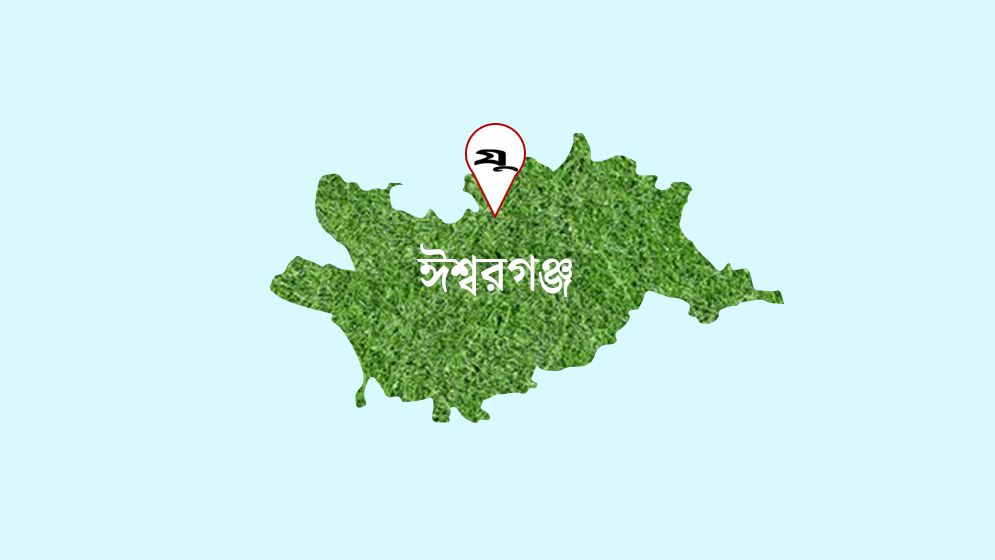 ঈশ্বরগঞ্জে মেম্বারের বাড়িতে হামলার অভিযোগ