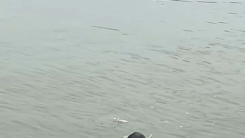 গণপিটুনিতে নিখোঁজ ডাকাতের মরদেহ ভেসে উঠল নদীতে