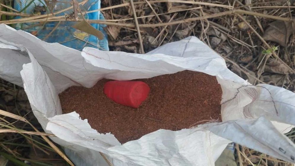 দর্শনায় এক মাসে ১৪ ককটেল বোমা উদ্ধার