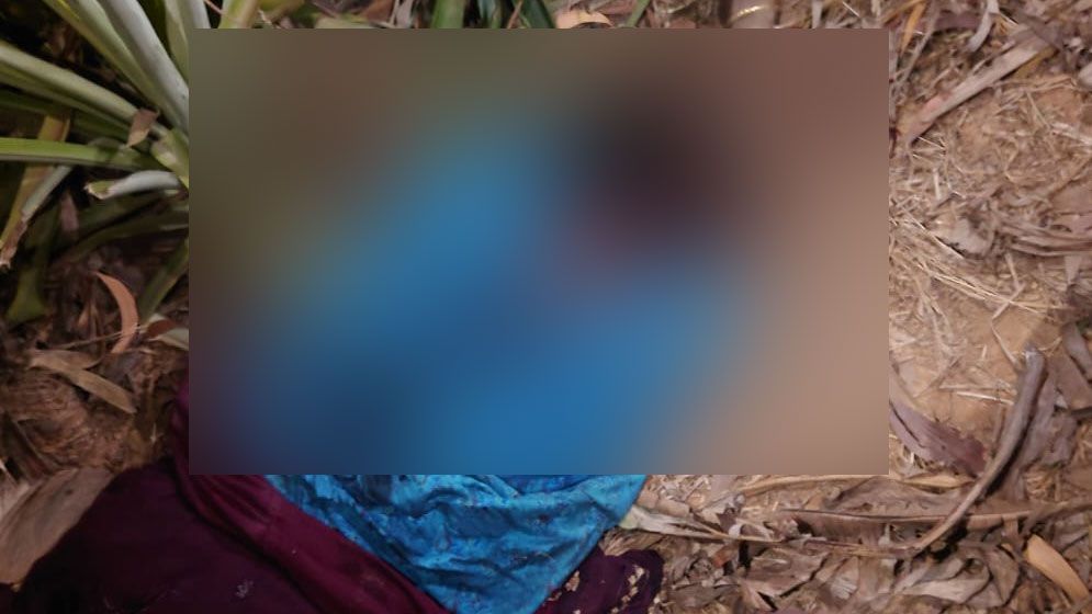 নেশাগ্রস্ত ছেলের হাতে মা খুন