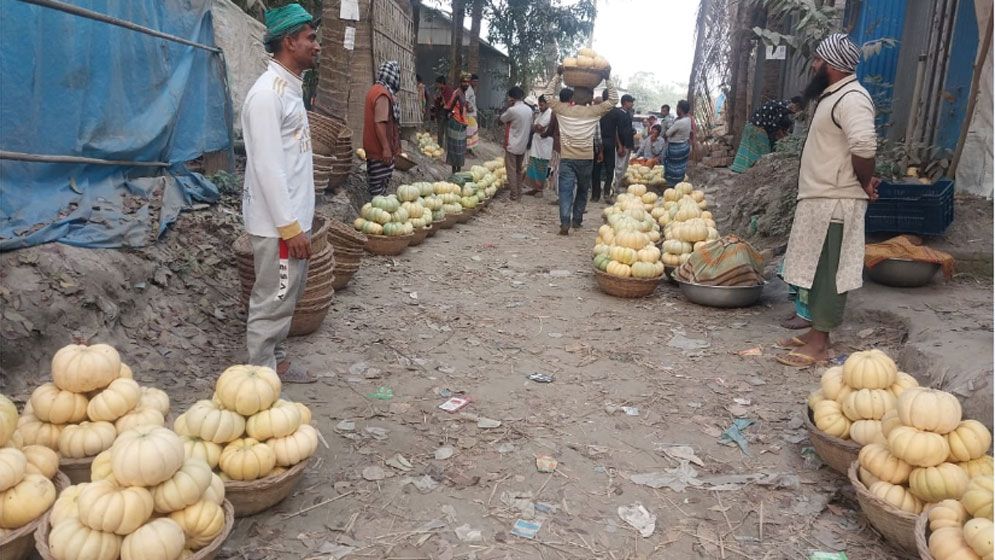 নবাবগঞ্জে বাঙ্গির গ্রামে ম ম ঘ্রাণ