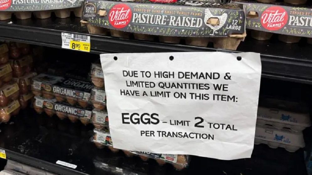 তুরস্ক ও দক্ষিণ কোরিয়া থেকে ডিম আমদানি করবে যুক্তরাষ্ট্র