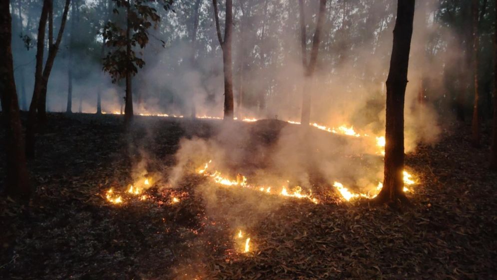 সংরক্ষিত বনাঞ্চলে আগুন, প্রকৃতির শুদ্ধতা হুমকির মুখে