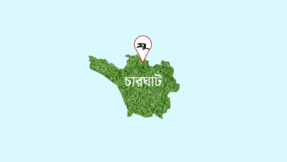 নিজের দাবি করে সড়কের পাশের গাছ কেটে নিলেন দুই বিএনপি নেতা