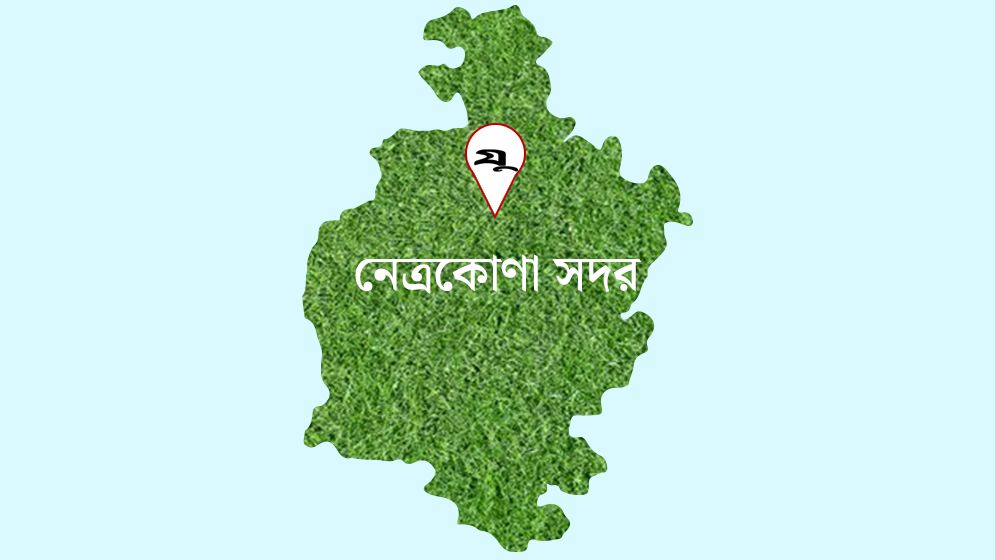 নববর্ষে ইউএনওকে লাঞ্ছিতের ঘটনায় যুবদল নেতা গ্রেফতার