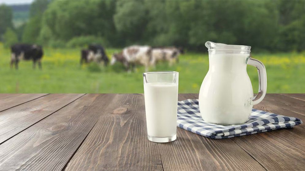 কোলেস্টেরলের কারণে দুধ খাওয়া ছেড়েছেন?