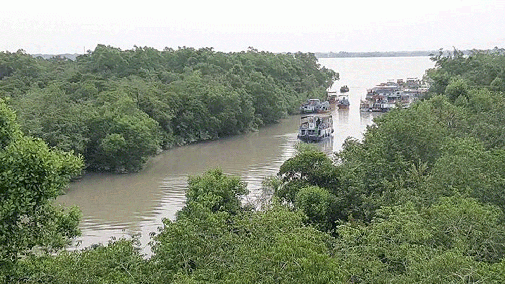সুন্দরবনের ১০ কিমি এলাকায় শিল্পপ্রতিষ্ঠান স্থাপন নিষিদ্ধ