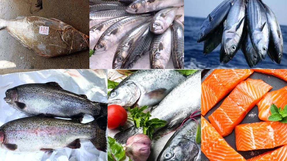 যে ৬ মাছ খেলে কমবে ওজন