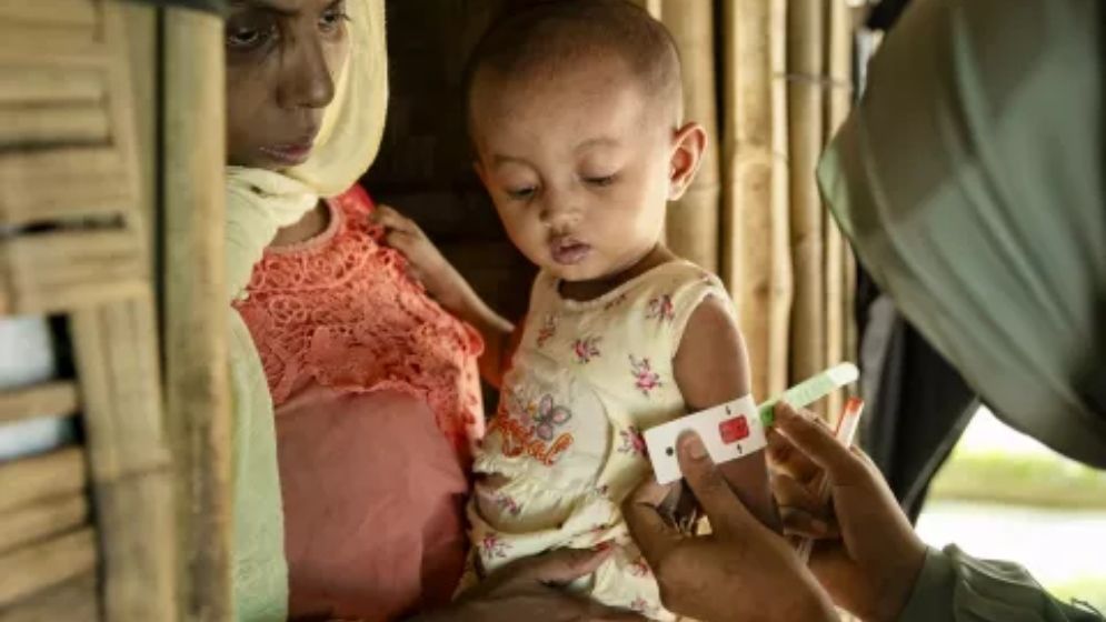 ওষুধ দিয়ে অপুষ্টি দূর করা সম্ভব নয়