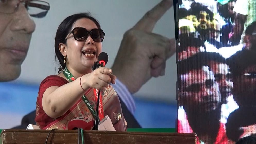 বাংলাদেশে যত পরিবর্তন সব বিএনপির হাত ধরেই: রুমিন