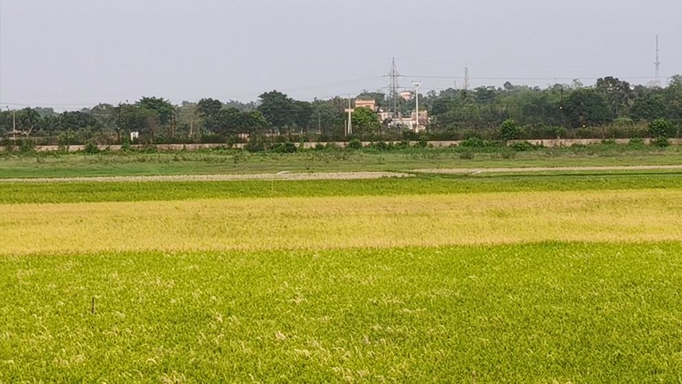বিএসএফের গুলিতে বাংলাদেশি আহত