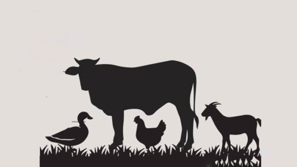 প্রাণিসম্পদ উন্নয়নে একটি ভিন্ন ভাবনা