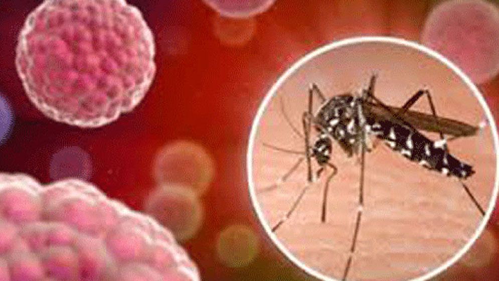 মোট রোগীর ৯২ শতাংশ তিন পার্বত্য জেলায়