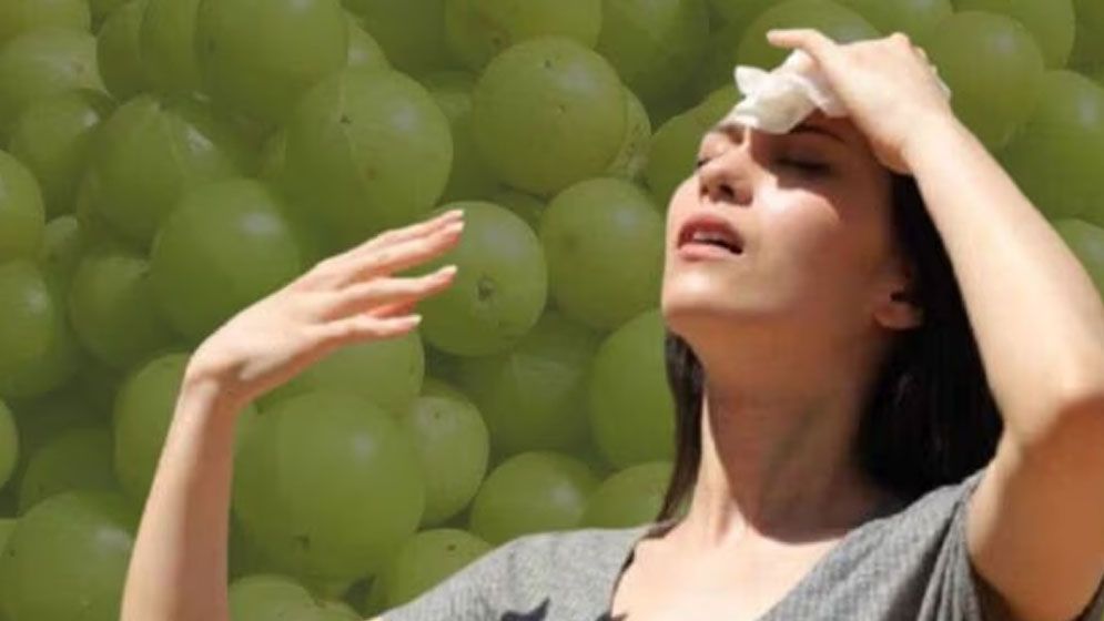 গরমে ব্রণ-ঘামাচি ও ত্বকে জ্বালাপোড়া, আমলকীতেই মিলবে সমাধান!