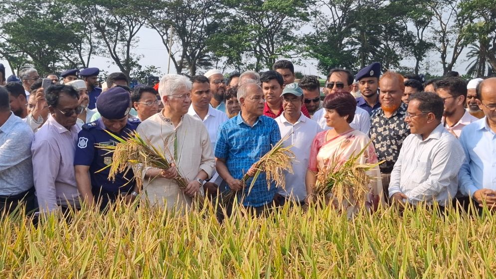 ধান কাটলেন দুই উপদেষ্টা