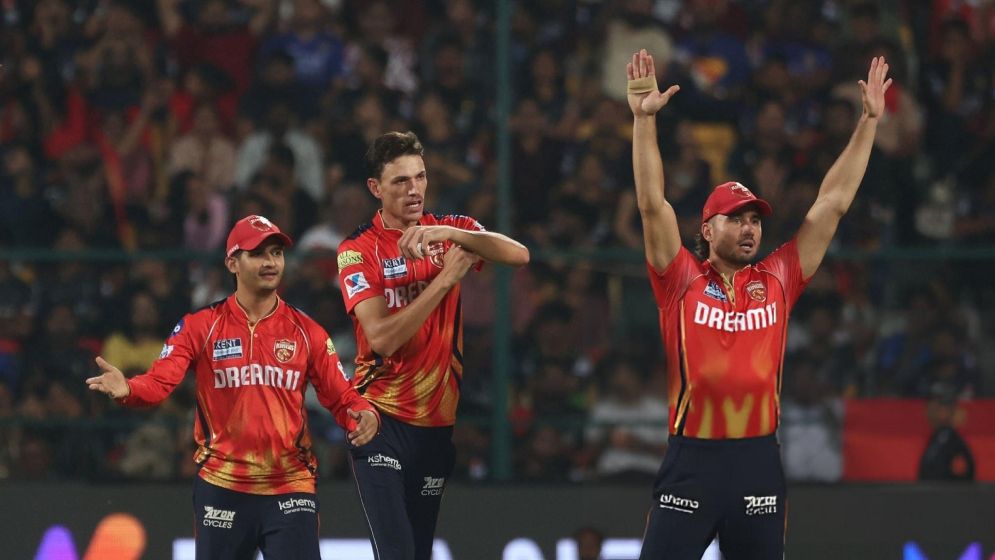 এবারও আইপিএল জিততে পারবে না পাঞ্জাব, দায় অস্ট্রেলিয়ান কোচের!