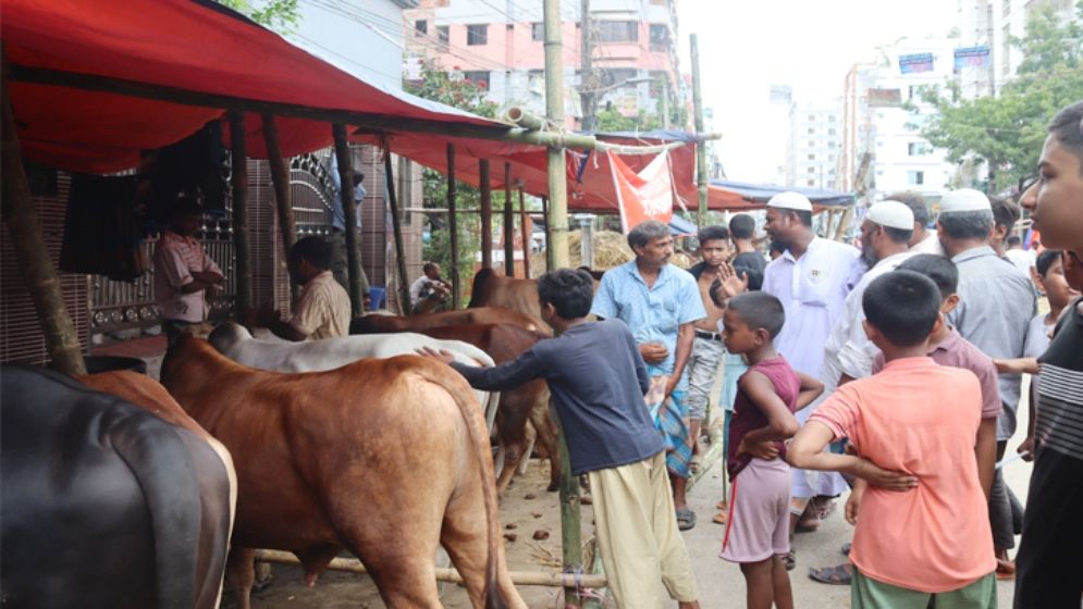 কুরবানিতে মেরাদিয়ায় পশুর হাট বসানো যাবে না: হাইকোর্ট