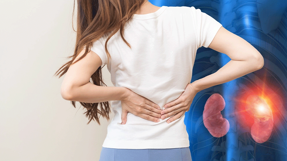 কিভাবে বুঝবেন কিডনি সুস্থ আছে