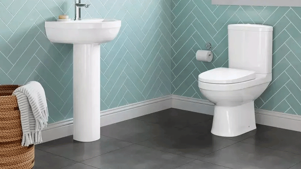 স্বাস্থ্য সমস্যা এড়াতে কমোড সবসময় ঢেকে রাখুন