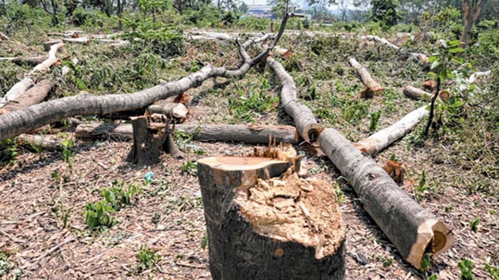 রাষ্ট্র কি প্রাণপ্রকৃতি ধ্বংসের অনুমতি দিতে পারে?