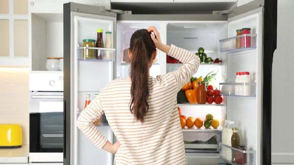 ফ্রিজ কি মাঝেমধ্যে বন্ধ রাখা উচিত?