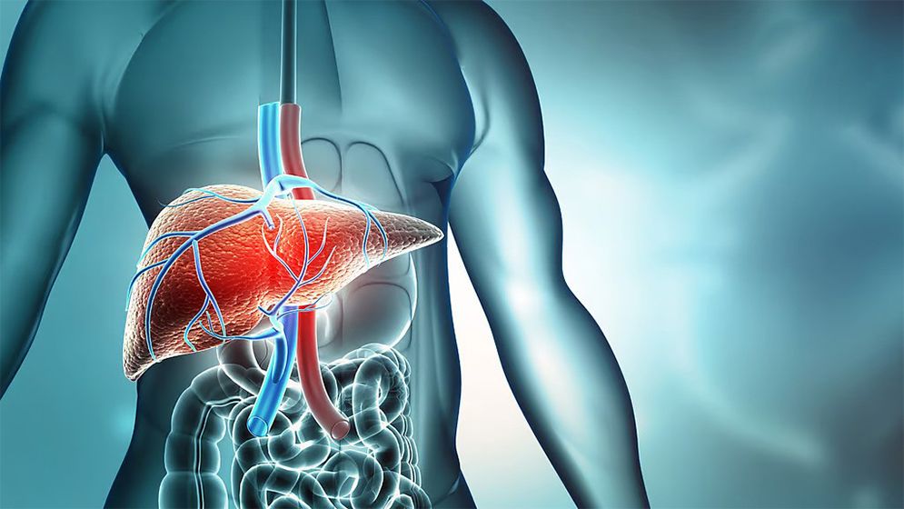 লিভার ডিটক্সিফাই কি? যেসব খাবার সুরক্ষা দেয়