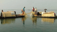 কাপ্তাই হ্রদে ৩ মাস মাছ শিকারে নিষেধাজ্ঞা