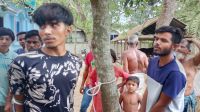 গরুচোর সন্দেহে ৩ যুবককে গাছের সঙ্গে বেঁধে রাখলেন এলাকাবাসী