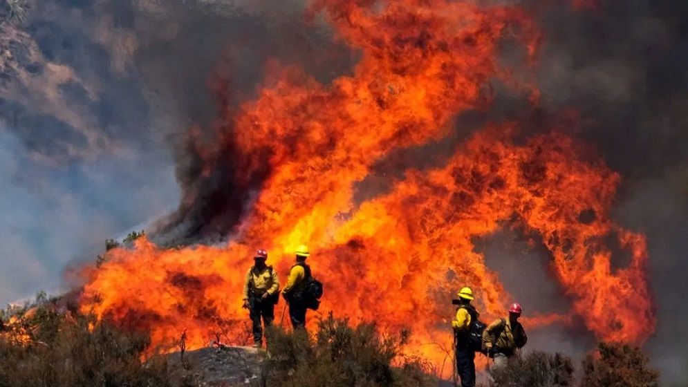 ইসরাইলে এক দশকের মধ্যে সবচেয়ে ভয়াবহ দাবানল