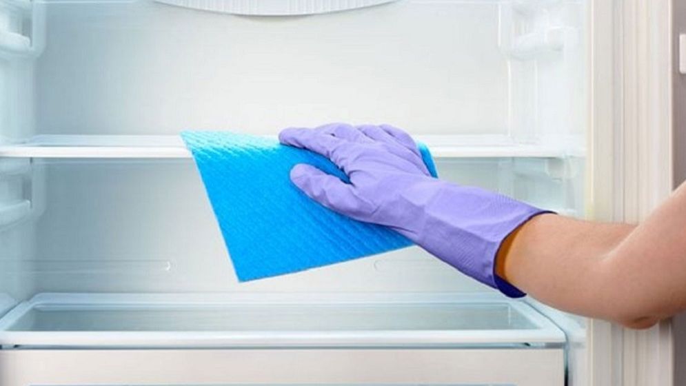 ফ্রিজ পরিষ্কারের আগে মাথায় রাখুন এসব