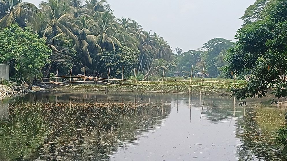 ডাকাতিয়া নদীতে বাঁধ দিয়ে মাছ চাষ