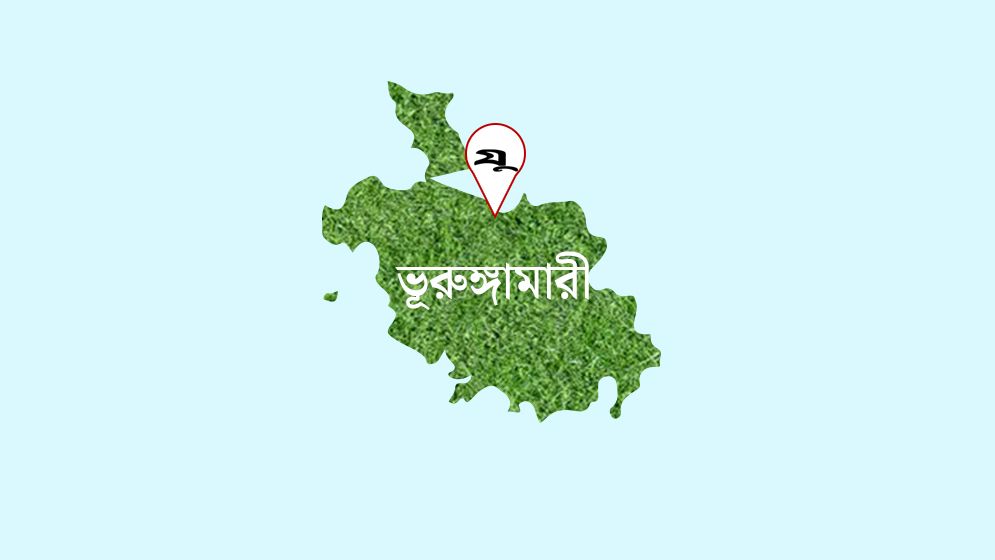 অটোরিকশার ধাক্কায় প্রাণ গেল বাকপ্রতিবন্ধী বৃদ্ধার