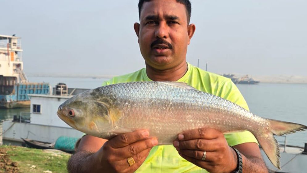 পদ্মার ইলিশ বিক্রি হলো সাড়ে ৮ হাজার টাকায়
