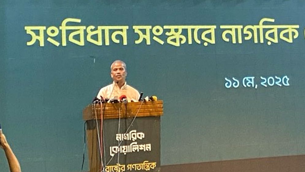 নতুন সংবিধান প্রণয়ন হতে অনেক সময় লাগবে: আসিফ নজরুল