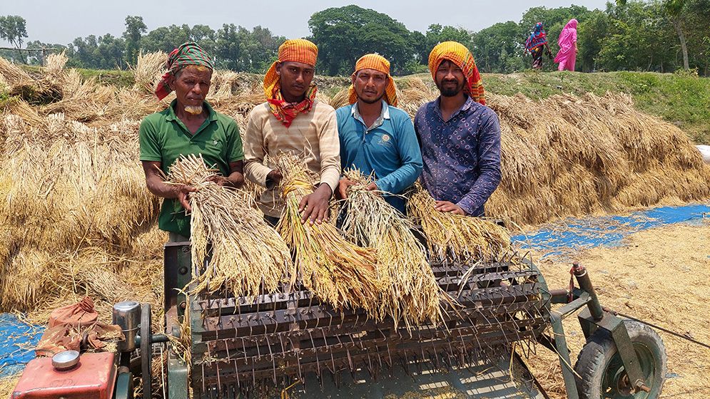 ১ মণ ধানেও মিলছে না এক ‘কামলা’