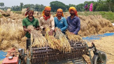 ১ মণ ধানেও মিলছে না এক ‘কামলা’