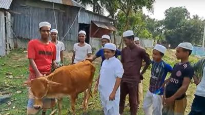 খুশিতে গরু জবাই করে খাওয়ালেন মাওলানা রফিকুল