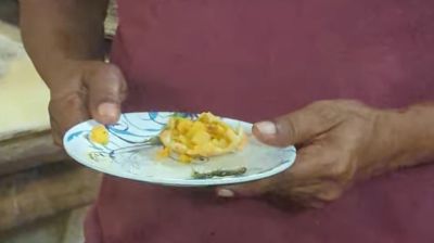 জাবির ক্যাফেটেরিয়ার খাবারে মিলল বিষাক্ত চ্যালাপোকা